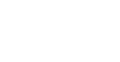 IBIS Management