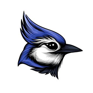 Blue Jay-png