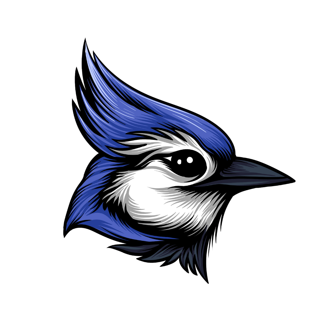 image-png image-png